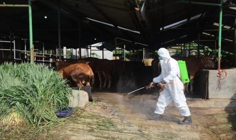 Satgas Penanganan PMK Kota Bogor melakukan disinfeksi di Rumah Potong Hewan (RPH), Bogor Barat, Kota Bogor.