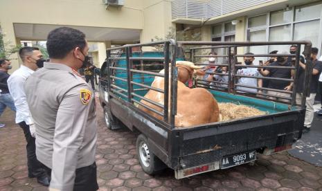 Satreskrim Polresta Banyumas berhasil mengamankan komplotan maling sapi lintas provinsi. Kedua maling ini mencari target peternakan yang akan dimaling dengan menggunakan Google Maps.