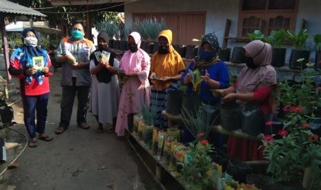 Satu tahun setengah sudah ibu-ibu anggota Kelompok Wanita Tangguh (KWT) Mutiara Sinar Mandiri menggalakan program ayo menanam. Program ini dilakukan dengan memanfaatkan area pekarangan rumah serta lahan di tepi jalan anggota KWT dengan aneka tanaman buah dan sayur.