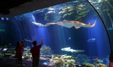 Seaworld Taman Impian Jaya Ancol menggunakan seawater (air laut) untuk menopang kehidupan di dalamnya.