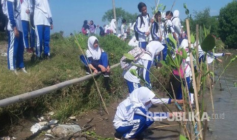 Sebanyak 2.017 pelajar SMP dan SMA se-Kecamatan Suranenggala, Kabupaten Cirebon menanam 5.700 pohon mangrove di sungai Winong, Kabupaten Cirebon, Selasa  (25/4). 