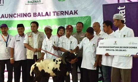 Sebanyak 30 mustahik yang juga warga lokal Cimande Hilir, mendapatkan 282 ekor domba. Domba-domba ini pemberian Badan Amil Zakat Nasional (Baznas) dan Bank Muamalat Indonesia dan Baitulmaal Muamalat (BMM). Dengan pengembangbiakan domba tersebut, diharapkan kehidupan masyarkat Cimande akan lebih sejahtera. 