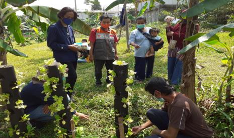 Sebanyak 9 orang mahasiswa IPB yang sedang mengadakan Kuliah Kerja Nyata (KKN) di di Desa Berdaya Pamoyanan yang merupakan salah satu lokasi pemberdayaan Rumah Zakat, berusaha membuat edukasi pertanian kepada para pemuda sebagai upaya untuk menumbuhkan minat dan partisipasi di bidang pertanian. 