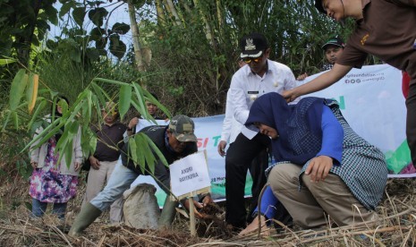 Sebanyak 947 bibit bambu ditanam dalam gelaran Aksi Penanaman Pohon oleh Sinergi Foundation di Gunung Pabeasan Desa Putrajawa Kecamatan Selaawi Kabupaten Garut, Rabu (28/3). 