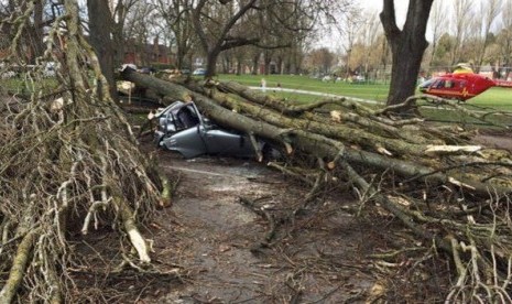 Sebuah mobil hancur tertimpa pohon di Birmingham, Inggris, Selasa (31/3)