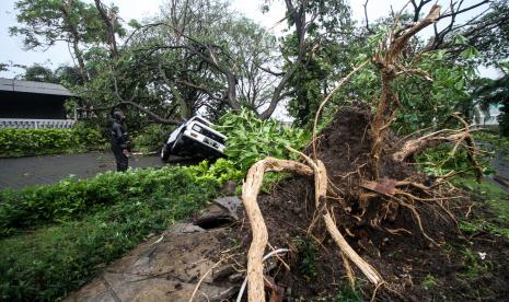 Sebuah mobil yang terparkir tertimpa pohon di perumahan Kahuripan Nirwana Sidoarjo, Jawa Timur, Ahad (23/10/2022). Angin kencang disertai hujan deras yang menerjang di wilayah setempat mengakibatkan sebuah kaca hotel pecah dan puluhan pohon roboh. 