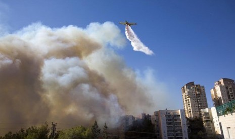 Sebuah pesawat melakukan pemadaman  kebakaran hutan di Haifa, Israel.