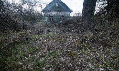 Sebuah rumah yang ditinggalkan penghuninya di Karpylivka, Ukraina, Kamis, 7 April 2016. Karpylivka adalah salah satu desa terdekat dengan reaktor pembangkit nuklir Chernobyl yang meledak. 