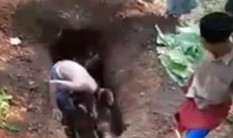 Sebuah video seorang anak kandung yang membongkar makam orang tuanya sendiri di Desa Kedung Sumur, Kecamatan Pakuniran, Kabupaten Probolinggo beberapa waktu lalu viral di media sosial (medsos).