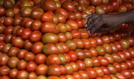 Sebutir tomat pasok 40 persen kebutuhan harian minimum vitamin C.