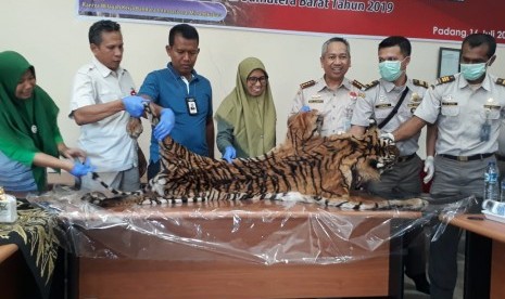 Security Bandara Internasional Minangkabau gagalkan pengiriman kulit Harimau Sumatera.