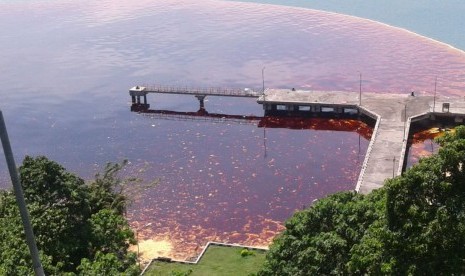 Sedikitnya 3 ribu ton minyak sawit mentah (CPO) tumpah ke perairan Teluk Bayur pada Kamis (28/9) siang. Insiden ini terjadi lantaran tangki timbun milik PT Wira Inno Mas mengalami kebocoran yang diduga akibat tekanan tangki yang terlampau tinggi.