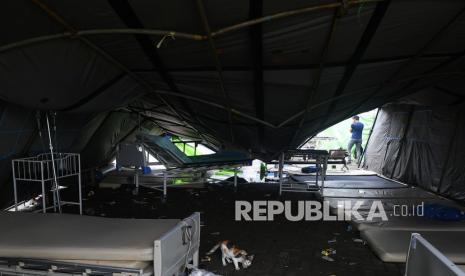 Seekor kucing berada di tenda darurat Rumah Sakit Mitra Manakarra yang rusak akibat gempa bumi magnitudo 6,2 di Mamuju, Sulawesi Barat, Sabtu (16/1/2021). Badan Nasional Penanggulangan Bencana (BNPB) menyatakan korban meninggal dunia akibat gempa di Sulawesi Barat per Sabtu 16 Januari sore sebanyak 46 orang. 