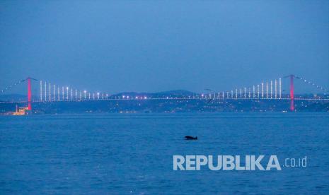 Selat Bosphorus, Turki. Turki telah melarang kapal perang melewati selat Bosphorus dan Dardanelles, dalam upaya untuk mengurangi eskalasi invasi Rusia ke Ukraina.