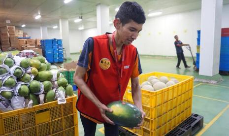 Sejak tahun 2019 Alfamidi aktif memberikan kesempatan bagi penyandang Disabilitas bergabung menjadi karyawan melalui program Alfability sesuai dengan kompetensi bidang pekerjaannya. Hingga 30 Juni 2023, Alfamidi telah mempekerjakan sebanyak 255 disabilitas yang tersebar baik di area toko, gudang, maupun kantor.