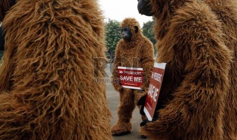 Sejumlah aktivis menggelar aksi penyelamatan orangutan di depan Istana Merdeka, Jakarta Pusat, Kamis (14/3). (Republika/Adhi Wicaksono)