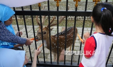  Sejumlah anak memberi makan wortel ke rusa di pinggir pagar istana Bogor. Terkait merebaknyua wabah PMK, masyarakat diimbau untuk tidak memberi makan pada rusa-rusa di Instana Bogor untuk sementara waktu. (ilustrasi)