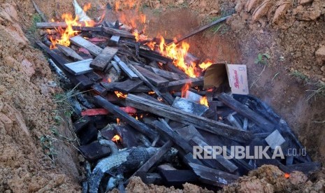 Sejumlah buaya yang mati dibantai warga dibakar untuk kemudian dikubur di Kabupaten Sorong, Papua Barat, Senin (16/7).