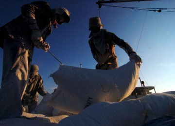 Sejumlah buruh angkut melakukan aktivitas bongkar muat di Pelabuhan Sunda Kelapa, Jakarta Utara, Minggu (12/2). (Republika/Prayogi)