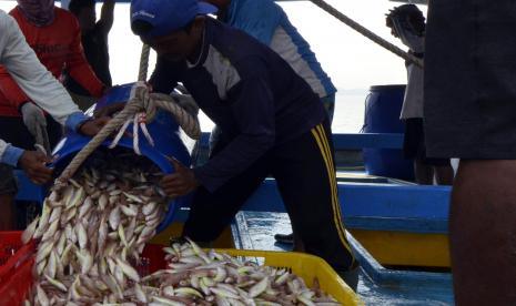 Sejumlah buruh nelayan membongkar ikan hasil tangkapan di Pelabuhan Pendaratan Ikan (PPI) Lempasing, Bandar Lampung, Lampung, Jumat (22/10/2021). Nelayan di wilayah itu mengaku hasil tangkapan ikan sejak dua pekan terakhir menurun karena ombak tinggi dan arus air laut serta angin yang kencang yang melanda perairan Lampung. A