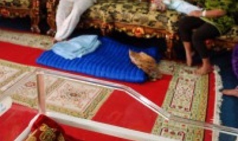 Sejumlah ibu bermain dengan bayinya di ruang Posko Evakuasi Balita terdampak kabut asap di aula Kantor Wali Kota Pekanbaru, di Pekanbaru, Riau, Rabu (7/10).