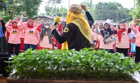 Sejumlah ibu rumah tangga mengikuti program Petik Masak Budidaya Pohon Cabai di Pasar Rebo, Jakarta Timur. 