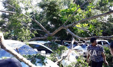 Sejumlah kendaraan rusak tertimpa pohon di halaman depan RSUD Syamsudin SH Kota Sukabumi akibat diterjang angin kencang Kamis (26/4) pagi.