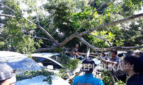 Sejumlah kendaraan rusak tertimpa pohon di Kota Sukabumi (ilustrasi). Baru mulai hujan, empat bencana alam langsung menerjang Kota Sukabumi.