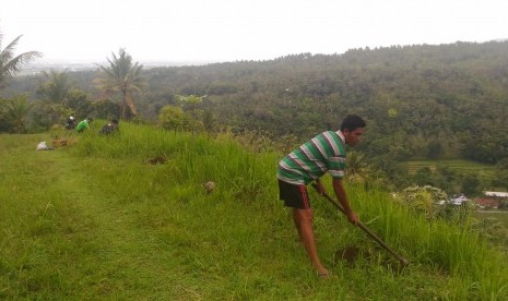 Sejumlah komunitas menggelar gerakan sebar dan tanam bibit pohon di sejumlah lokasi terdampak gempa di Lombok pada Rabu (21/11).