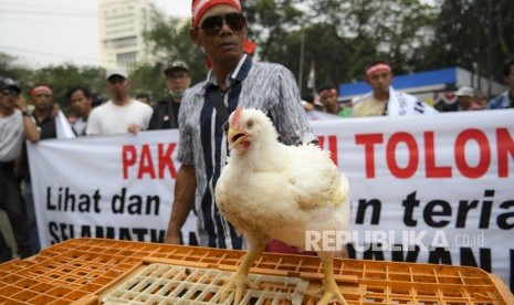 Sejumlah peternak menggelar aksi di Gedung Kementerian Pertanian (Kementan) di Jakarta, pada Rabu, (11/12). Ilustrasi.