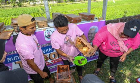 Sejumlah milenial Lombok Barat mengikuti edukasi cara budi daya lebah trigona jenis lokal maupun itama hetero. 