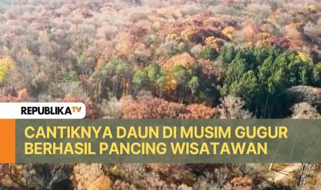 Sejumlah negara bagian AS yang berpohon rimbun dan berpegunungan banyak didatangi wisatawan