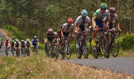 Sejumlah pebalap melintasi perkebunan pada balapan sepeda 'International Tour De Banyuwangi Ijen' (ITdBI), Banyuwangi, Jawa Timur. (ilustrasi)