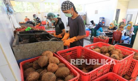 Sejumlah pekerja mengupas dan mencuci buah kelapa untuk proses pembuatan minyak kelapa murni. Kabupaten Muba, Sumsel, mendorong hiliriasasi kelapa.