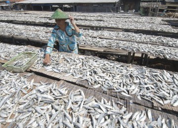 Sejumlah pekerja menjemur ikan asin di Perkampungan Nelayan Muara Angke, Jakarta Utara, Ahad (11/9). Saat ini harga ikan asin di Ibu Kota merosot tajam, sekitar 40 persen. (Republika/Aditya Pradana Putra)