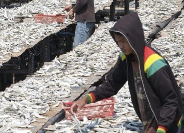 Sejumlah pekerja menjemur ikan asin di Perkampungan Nelayan Muara Angke, Jakarta Utara, Ahad (11/9). Saat ini harga ikan asin di Ibu Kota merosot tajam, sekitar 40 persen. (Republika/Aditya Pradana Putra)