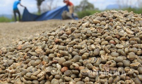 Sejumlah pekerja menjemur kopi arabika di Desa Negeri Antara, Kecamatan Pintu Rime Gayo, Bener Meriah, Aceh, Senin (6/3). Sejak sebulan terakhir harga jual kopi arabika ditingkat petani mengalami penurunan harga dari Rp67.000 per kilogram menjadi Rp58.000 