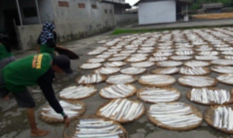 Sejumlah pekerja menjemur kulit ikan yang akan dijadikan kerupuk di sentra industri kerupuk Desa Kenanga, Kecamatan Sindang, Kabupaten Indramayu, Rabu (13/2). Akibat gelombang tinggi di laut, produksi kerupuk ikan dan udang di daerah tersebut menjadi terganggu.