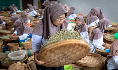 Sejumlah pekerja menyortir biji kopi kering robusta di pabrik kopi Banaran PT Perkebunan Nusantara (PTPN) IX, Jambu, Kabupaten Semarang, Jawa Tengah, Jumat (22/7/2022). Kementerian Pemberdayaan Perempuan dan Perlindungan Anak (Kemen PPPA) mendorong sektor swasta untuk menambah peran perempuan dalam dunia kerja.