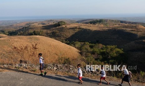 Padang savana Lendongara Desa Karunni, Loura, Kabupaten Sumba Barat Daya, Nusa Tenggara Timur.