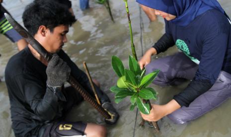 Islam Ajarkan Muslim Memelihara Bumi