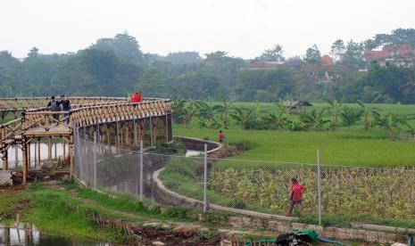 Sejumlah pengunjung berada di jembatan bambu saat wisata di Bubulak Tepi Sawah (BTS), Kota Bogor, Jawa Barat, Rabu (29/9/2021). Wisata BTS yang memadukan wisata kuliner dan pemandangan persawahan tersebut menjadi daya tarik bagi wisatawan lokal di masa pelonggaran PPKM level 3 dengan tetap menerapkan protokol kesehatan pencegahan penularan COVID-19.