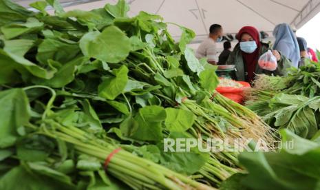 Sejumlah pengunjung berbelanja aneka sayuran pada gebyar pasar tani Dinas Pertanian dan Perkebunan Aceh 2022. Badan Pangan Nasional (NFA) mengungkapkan, produk ekspor pangan segar asal Indonesia masih menghadapi persoalan penolakan di sejumlah negara mitra dagang. Hal itu lantaran belum terpenuhinya standar keamanan dan mutu pangan yang ditetapkan secara internasional.