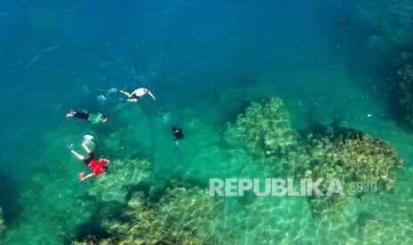 Sejumlah pengunjung berenang dan mengumpulkan sampah plastik di objek wisata Hiu Paus, Botubarani, Kabupaten Bone Bolango, Gorontalo, Ahad (16/8/2020). Aksi tersebut dilakukan agar objek wisata unggulan Gorontalo tersebut tetap bersih, bebas sampah, asri dan lestari. 