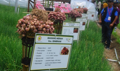 Sejumlah pengunjung melihat pertanian bawang merah saat kegiatan Hari Pangan Sedunia ke XXXVI di Komplek Perkantoran Terpadu Kabupaten Boyolali, Jawa Tengah, Jumat (28/10). 