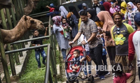 Bandung Zoological Garden alias Kebun Binatang Bandung, Jalan Tamansari, Kota Bandung, Jawa Barat. Akhir pekan ini, bertepatan dengan perayaan Imlek, Kebun Binatang Bandung akan tampilkan atraksi barongsai.