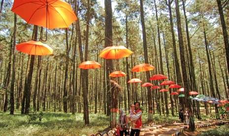 Sejumlah pengunjung menikmati pemandangan alam hutan pinus Praban Lintang di Desa Danasari, Kabupaten Tegal, Jawa Tengah, Sabtu (18/8). 