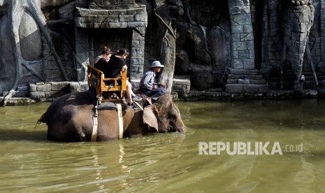 Sejumlah pengunjung menunggang gajah sumatra (Elephas maximus sumatranus) di wahana Kampung Sumatera Bali Zoo, Gianyar, Bali, Senin (25/6). 