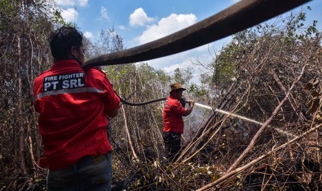 Pemadaman Karhutla Riau: Sejumlah personel pemadam kebakaran dari PT Sumatera Riang Lestari melakukan proses pemadaman kebakaran hutan yang berbatasan dengan konsesi perusahaan di Pulau Rupat Kabupaten Bengkalis, Riau, Rabu (27/2/2019).