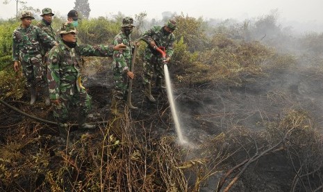 Ilustrasi gambut yang terbakar di Jambi.